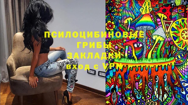 прущий лед Алзамай
