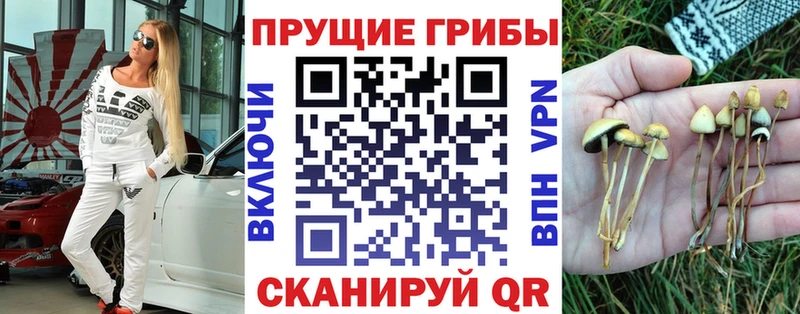 закладки мега как зайти Галлюциногенные грибы прущие грибы Южно-Сухокумск