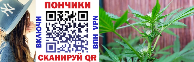 Бошки Шишки AK-47  Южно-Сухокумск 